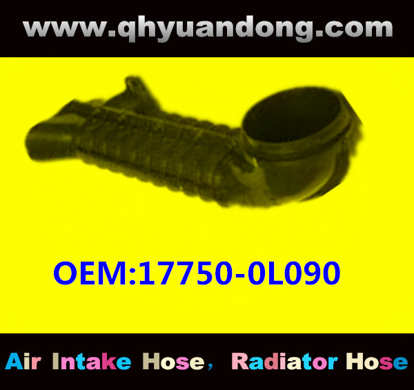 AIR HOSE OEM:17750-0L090