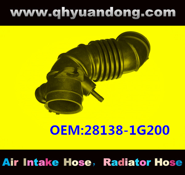 AIR HOSE OEM:28138-1G200