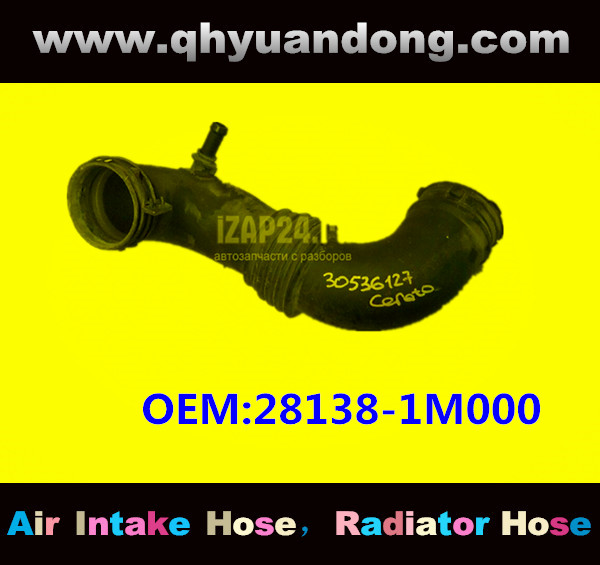 AIR HOSE OEM:28138-1M000