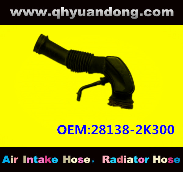 AIR HOSE OEM:28138-2K300