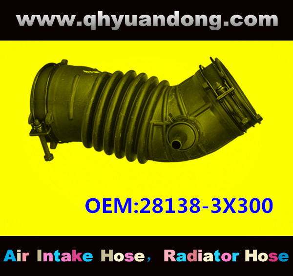 AIR HOSE OEM:28138-3X300