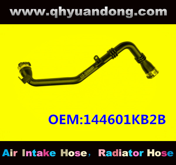 AIR HOSE OEM:144601KB2B