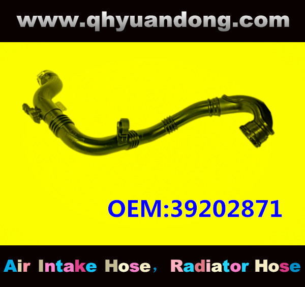 AIR HOSE OEM:39202871