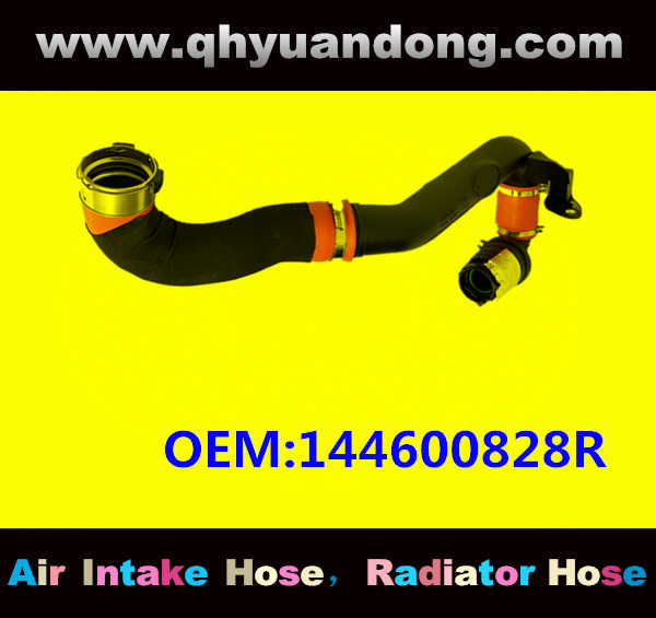 AIR HOSE OEM:144600828R