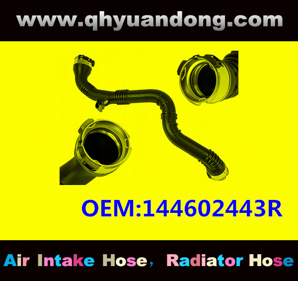 AIR HOSE OEM:144602443R