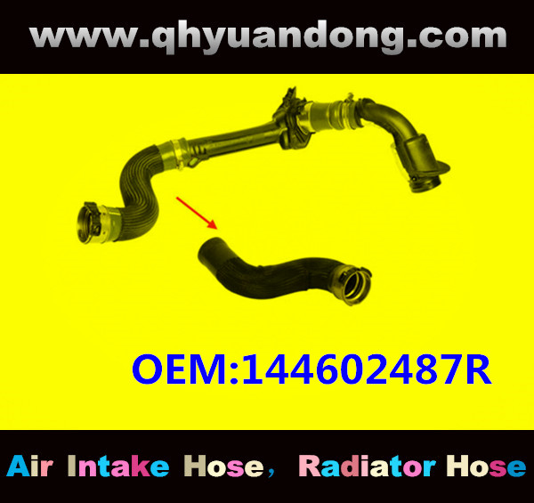 AIR HOSE OEM:144602487R