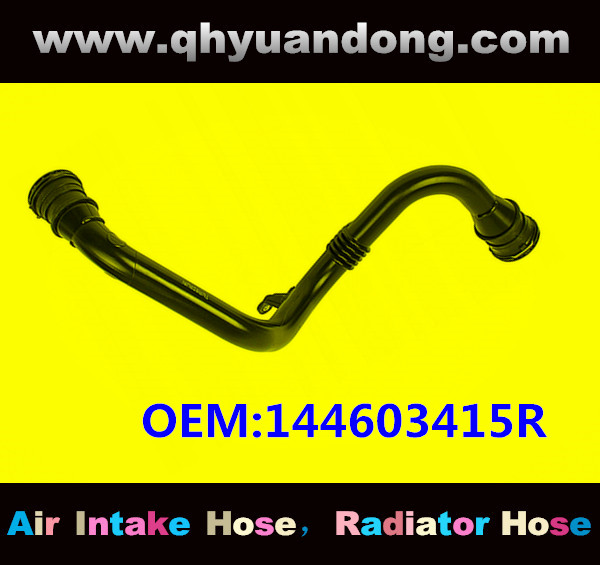 AIR HOSE OEM:144603415R