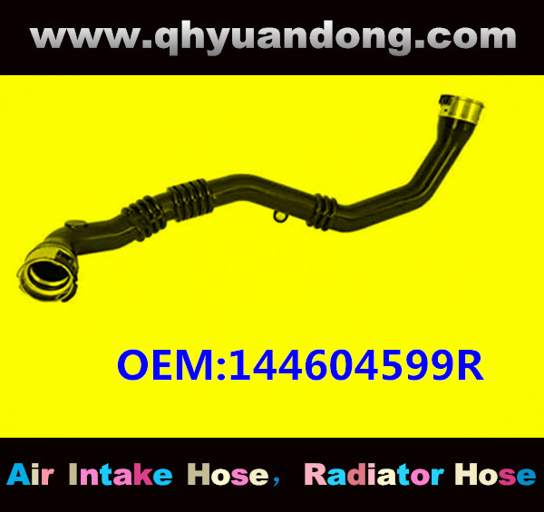 AIR HOSE OEM:144604599R