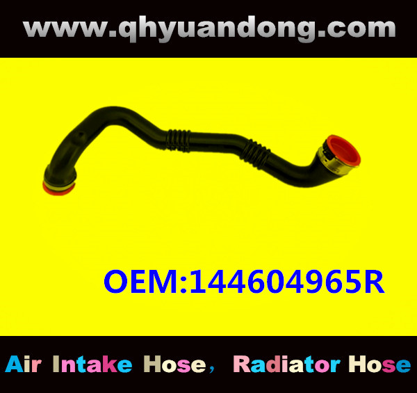 AIR HOSE OEM:144604965R