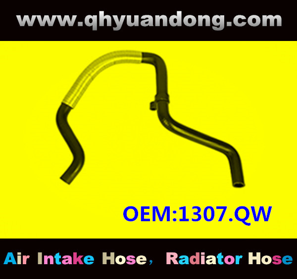 RADIATOR HOSE OEM:1307.QW