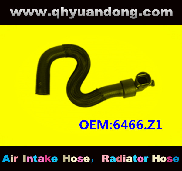 RADIATOR HOSE OEM:6466.Z1