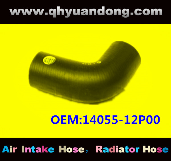 RADIATOR HOSE OEM:14055-12P00