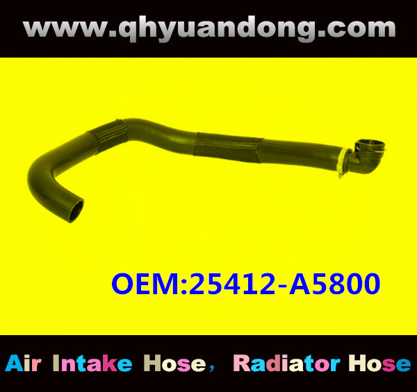 RADIATOR HOSE OEM:25412-A5800