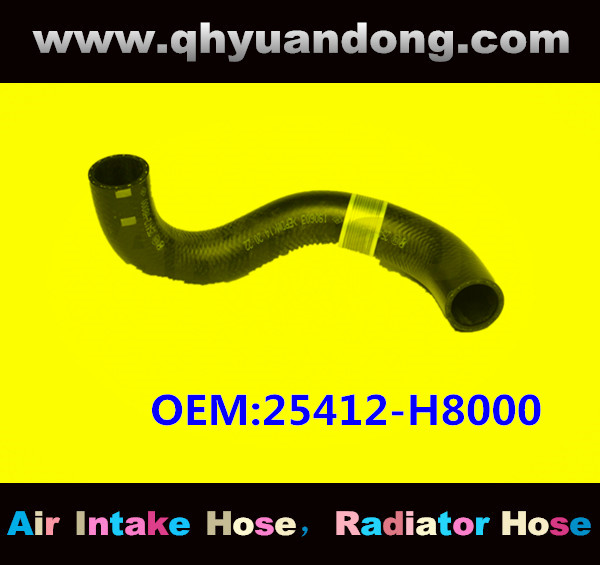 RADIATOR HOSE OEM:25412-H8000