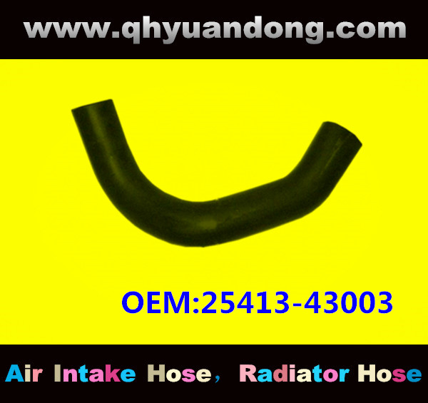 RADIATOR HOSE OEM:25413-43003