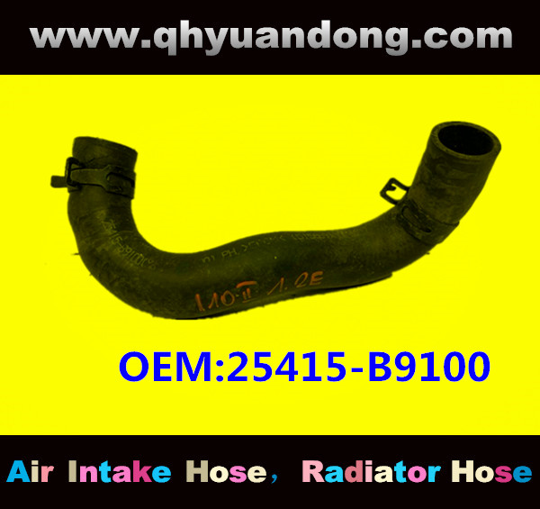 RADIATOR HOSE OEM:25415-B9100