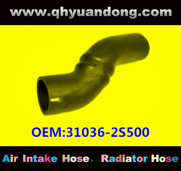 RADIATOR HOSE OEM:31036-2S500