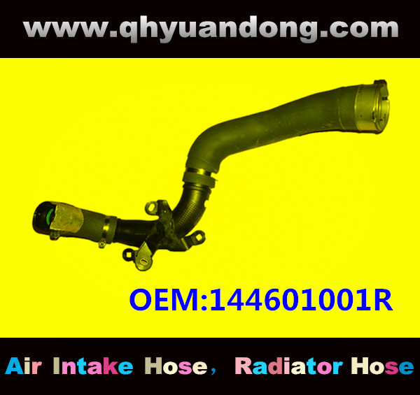 RADIATOR HOSE OEM:144601001R