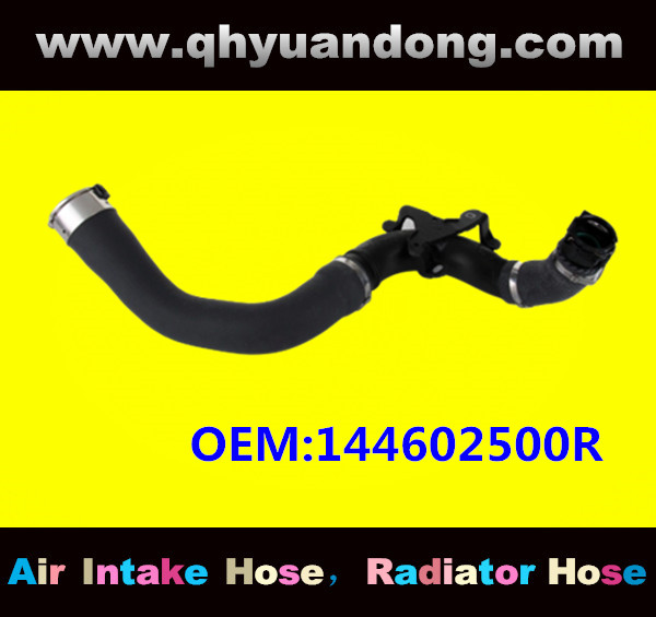 RADIATOR HOSE OEM:144602500R