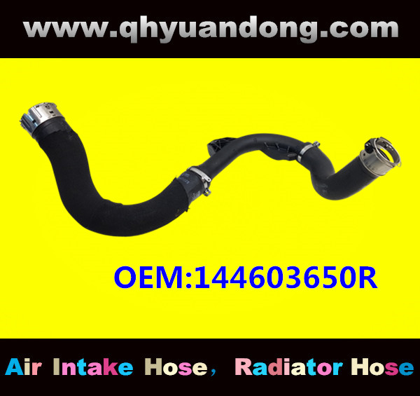 RADIATOR HOSEOEM:144603650R