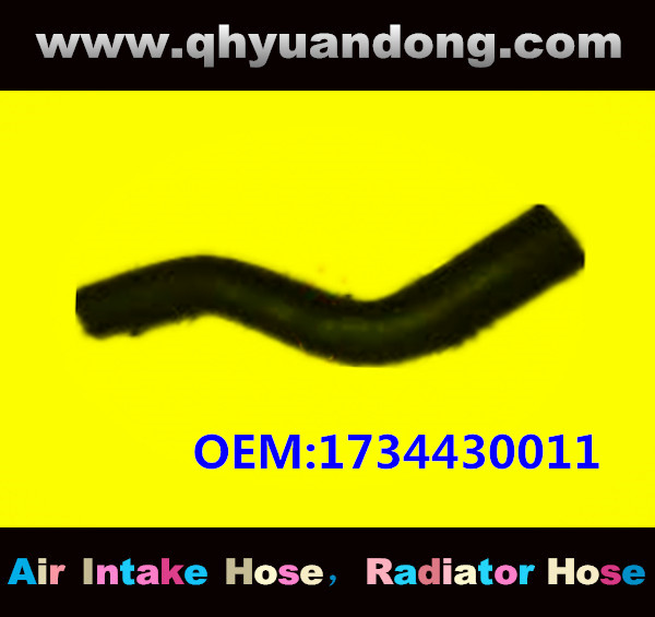 RADIATOR HOSE OEM:1734430011