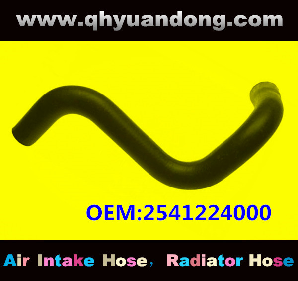 RADIATOR HOSE OEM:2541224000