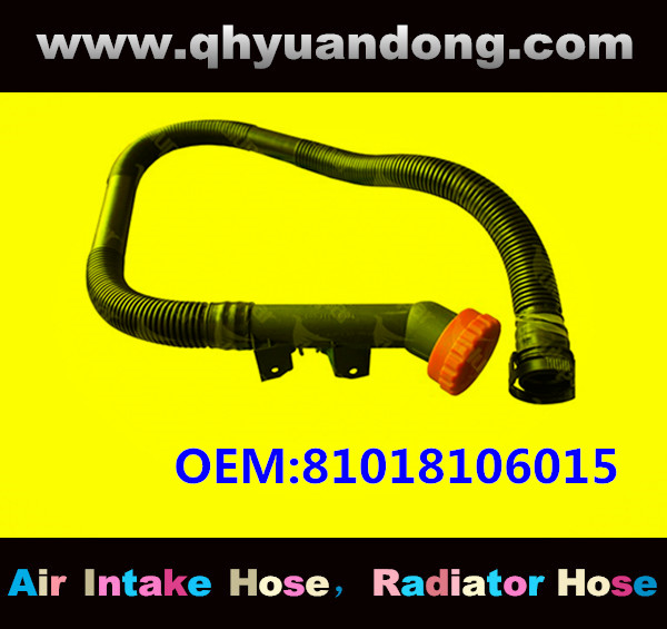 RADIATOR HOSE OEM:81018106015