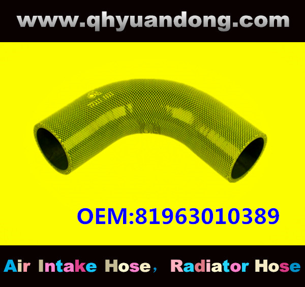 RADIATOR HOSE OEM:81963010389