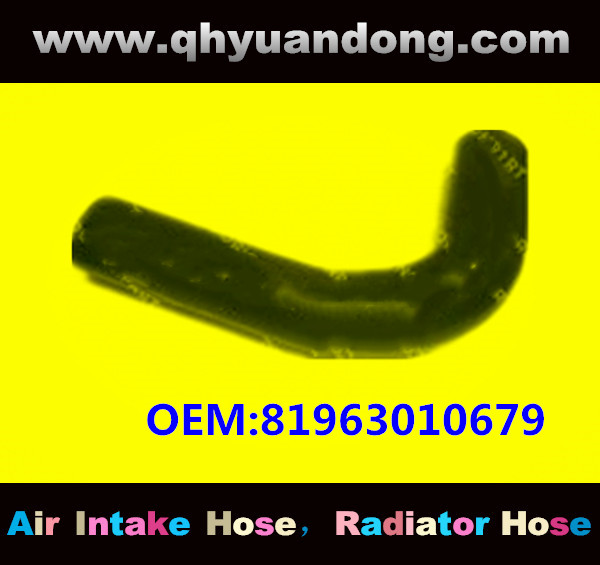 RADIATOR HOSE OEM:81963010679