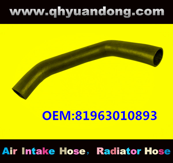 RADIATOR HOSE OEM:81963010893