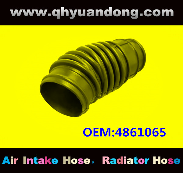 AIR HOSE OEM:4861065