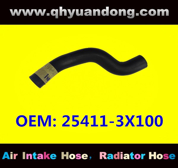 RADIATOR HOSE 25411-3X100