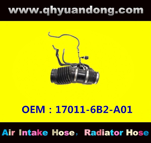 AIR INTAKE HOSE 17011-6B2-A01