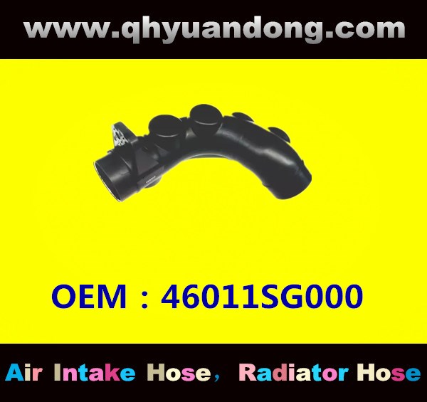 AIR INTAKE HOSE 46011SG000
