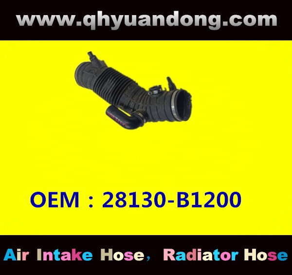 AIR INTAKE HOSE 28130-B1200