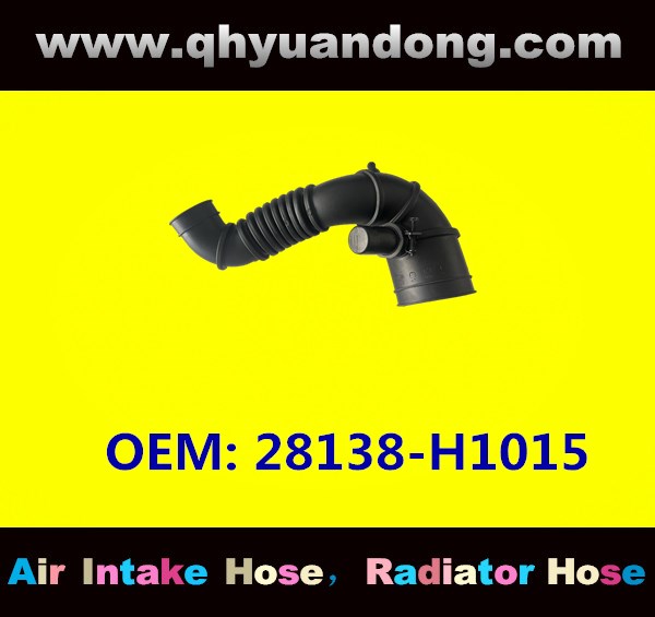 AIR INTAKE HOSE 28138-H1015