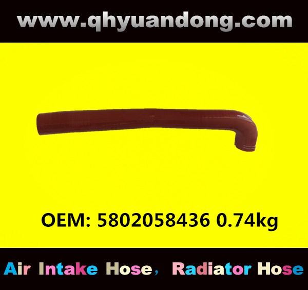 RADIATOR HOSE 5802058436 