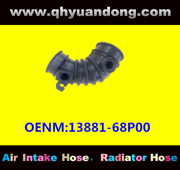 AIR INTAKE HOSE 13881-68P00