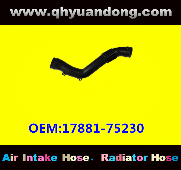 AIR INTAKE HOSE 17881-75230