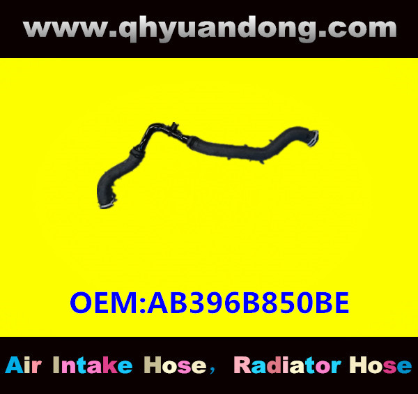 RADIATOR HOSE  AB398B273AE