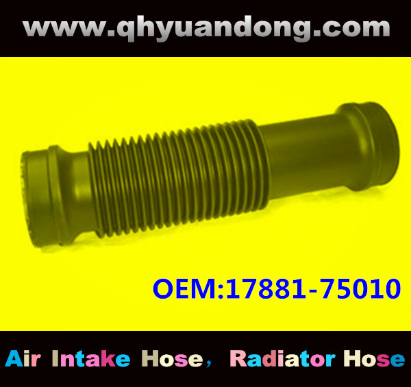 Air intake hose 17881-75010
