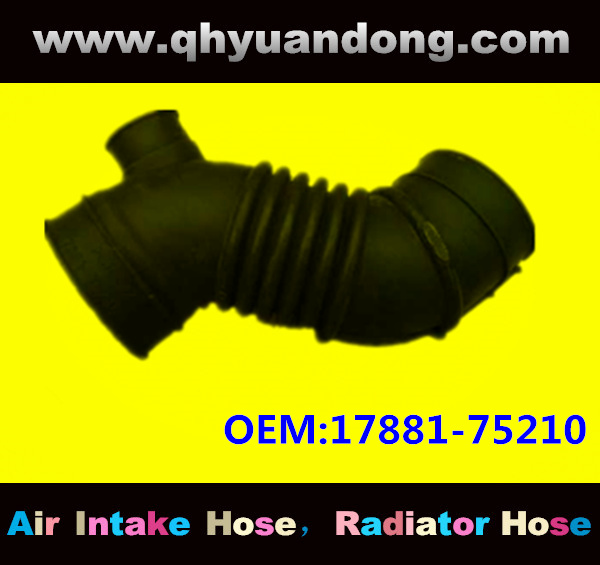 Air intake hose 17881-75210