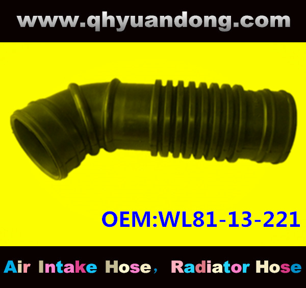 Air intake hose WL81-13-221