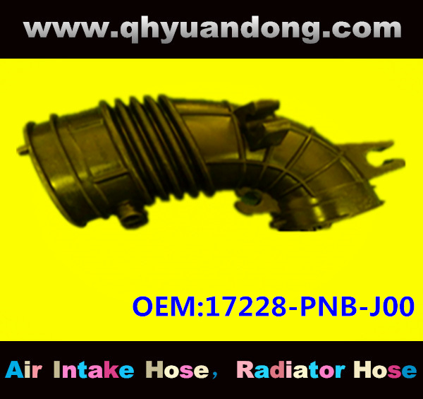 Air intake hose 17228-PNB-J00