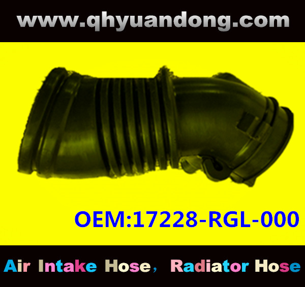 Air intake hose 17228-RGL-000