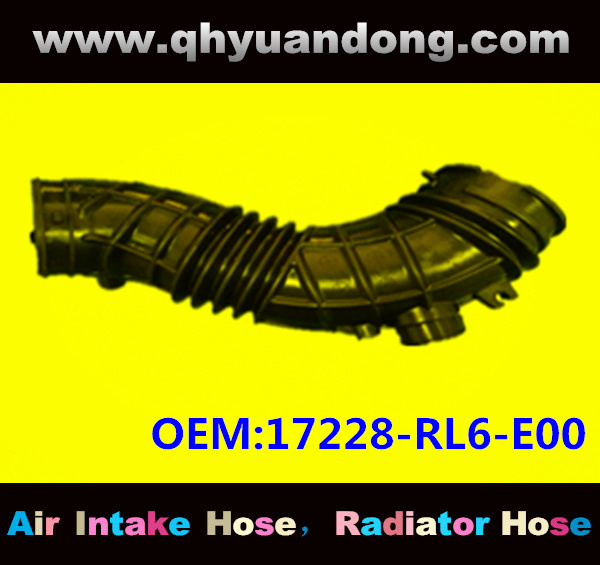 Air intake hose 17228-RL6-E00
